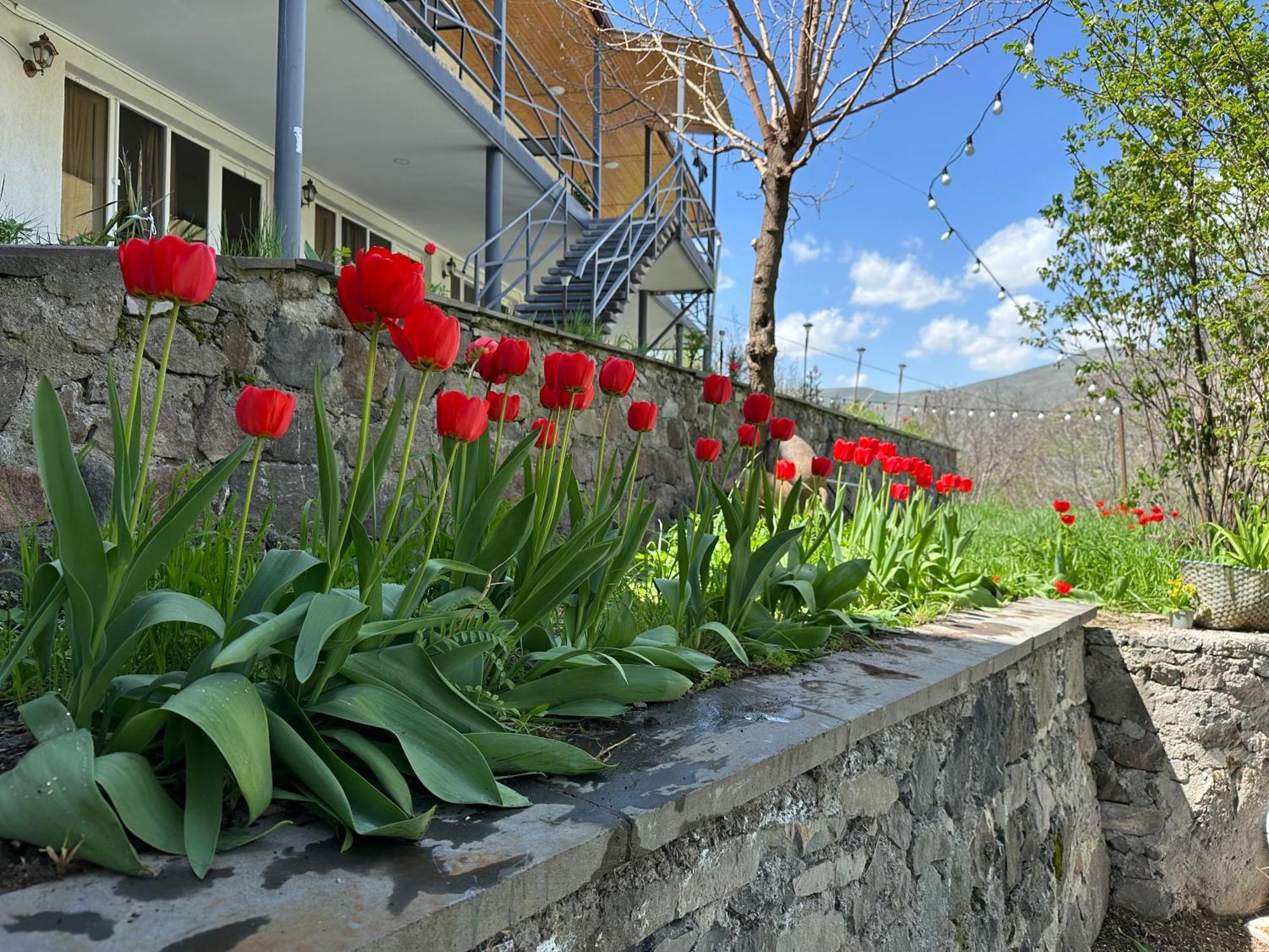 Hotel-Gvala Vardzia  Exterior photo